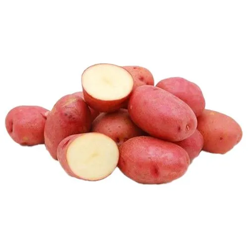 Potato - Red